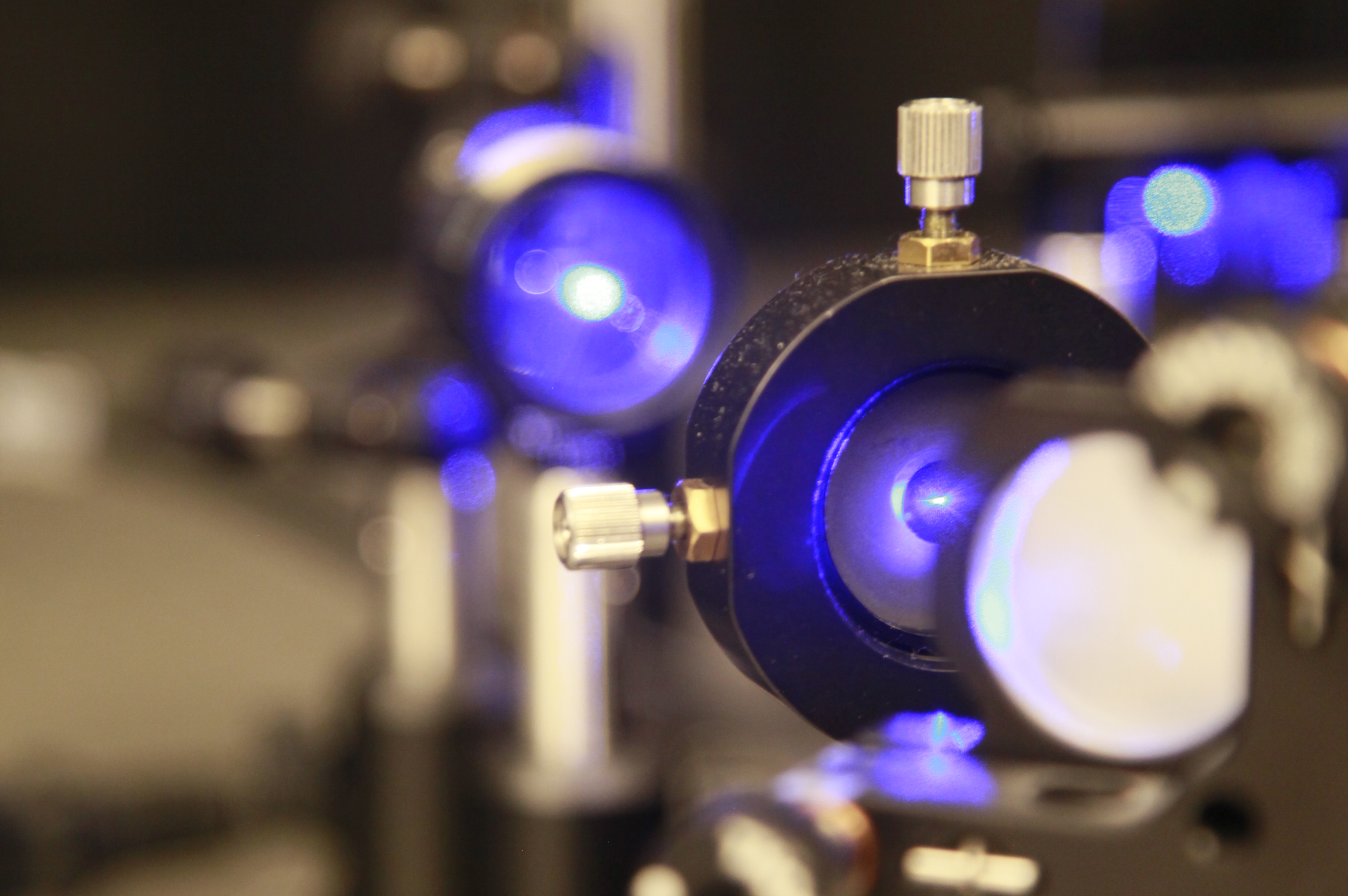 2311 Lfw Wn 1 1 Hero