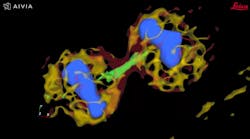 FIGURE 3. 4D image of a dividing cell that was detected by Aivia in a feedback loop with LAS X from Leica Microsystems. FIGURE 3. 4D image of a dividing cell that was detected by Aivia in a feedback loop with LAS X from Leica Microsystems.