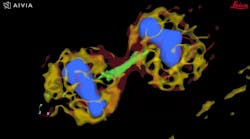 FIGURE 3. 4D image of a dividing cell that was detected by Aivia in a feedback loop with LAS X from Leica Microsystems. FIGURE 3. 4D image of a dividing cell that was detected by Aivia in a feedback loop with LAS X from Leica Microsystems.