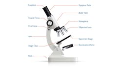 Adobe Stock 110493421 768x690 Adobe Stock 110493421 768x690