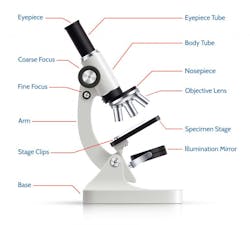 Adobe Stock 110493421 768x690 652052e94ee5d Adobe Stock 110493421 768x690 652052e94ee5d