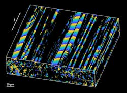 FIGURE 3. The image shows the propagation of the cilia metachronal wave in space and time as captured with the team’s new OCT imaging method. FIGURE 3. The image shows the propagation of the cilia metachronal wave in space and time as captured with the team’s new OCT imaging method.