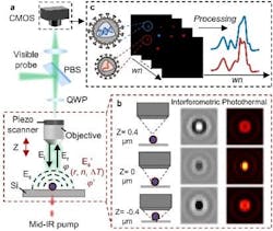 FIGURE 1. Schematic and principle of WIDE-MIP microscopy. FIGURE 1. Schematic and principle of WIDE-MIP microscopy.