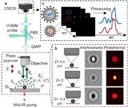 FIGURE 1. Schematic and principle of WIDE-MIP microscopy.