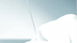 screenshot_20231221_at_2