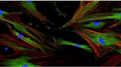 65f08b6d6340f2001e8a4c76 Screenshot 20240312 At 1 65f08b6d6340f2001e8a4c76 Screenshot 20240312 At 1