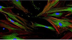 65f08b6d6340f2001e8a4c76 Screenshot 20240312 At 1 65f08b6d6340f2001e8a4c76 Screenshot 20240312 At 1