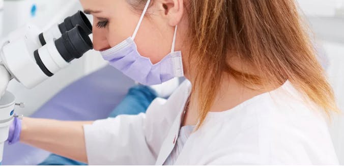 screenshot_20240327_at_2