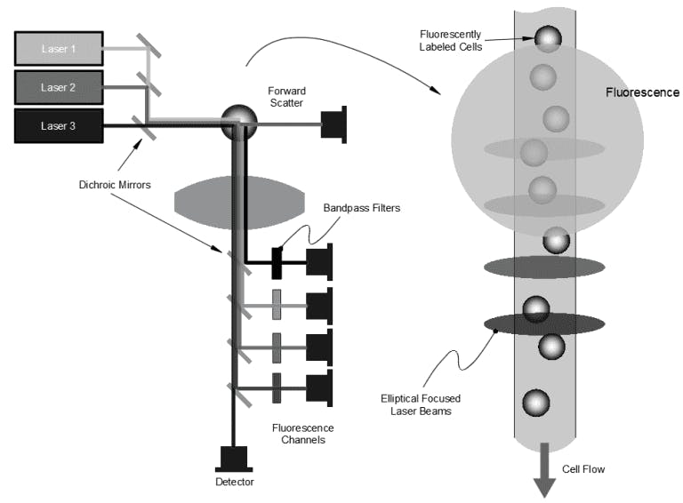 Improve Flow Cytometer SNR involves looking at each of the optical components
