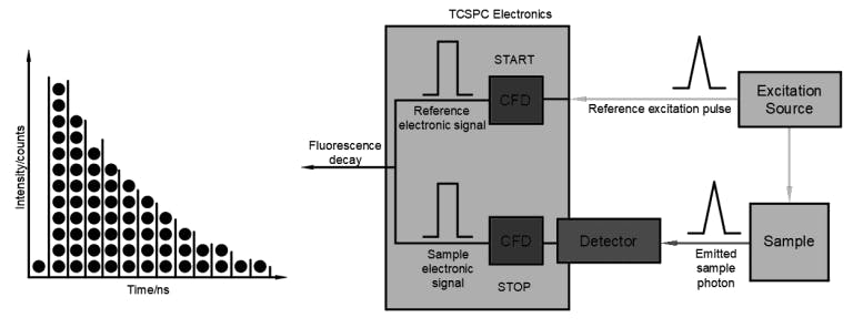 Time-correlated single-pulse counting can be used to measure lifetimes as short as a few pico seconds in fluorescence-lifetime imaging.