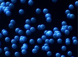 Figure 2. Star image without active alignment Figure 2. Star image without active alignment