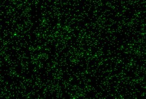 Figure 5. Star image in focus position