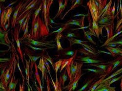 662955b4a18a9f001f77c776 Resizedadobestock 102371767300x223 662955b4a18a9f001f77c776 Resizedadobestock 102371767300x223