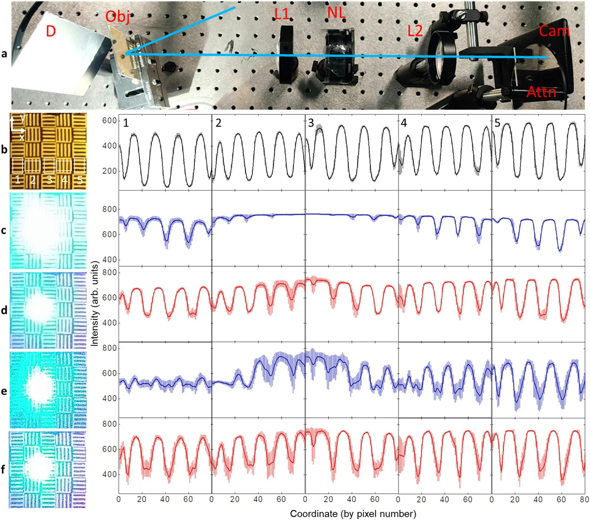 Optical nonlinearity advances lay foundation for visual computing ...