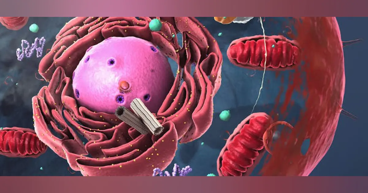 Dynamic Cell Lab Exploring Cellular Dynamics with Live-Cell Imaging | Laser Focus World
