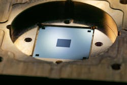 A membrane close-up shot. A membrane close-up shot.