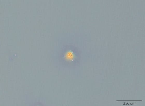 FIGURE 2. Laser damage generated by a 532-nm laser with nanosecond pulses. This damage was induced by a cluster of defects, as is evidenced by the craters and redeposited particulate on the surface.[4]