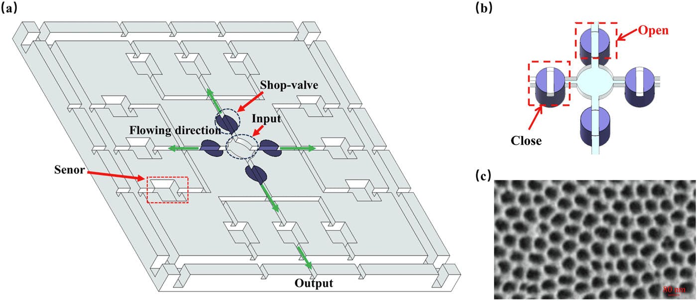 FIGURE 1. Schematic illustration of the microfluidic chip.