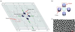 FIGURE 1. Schematic illustration of the microfluidic chip. FIGURE 1. Schematic illustration of the microfluidic chip.