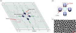 FIGURE 1. Schematic illustration of the microfluidic chip. FIGURE 1. Schematic illustration of the microfluidic chip.