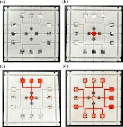 FIGURE 2. The 3D-printed chip has four distinct regions, each capable of rapidly testing for the presence of multiple pathogens simultaneously. FIGURE 2. The 3D-printed chip has four distinct regions, each capable of rapidly testing for the presence of multiple pathogens simultaneously.