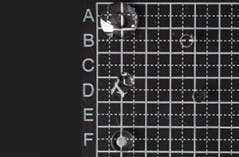 Types of Micro-Optics