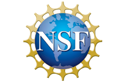 66c4a837ab24363063b856f9 Nsf Logo 66c4a837ab24363063b856f9 Nsf Logo