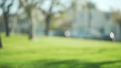 Avoid Optical Pitfalls Part 3 Avoid Optical Pitfalls Part 3