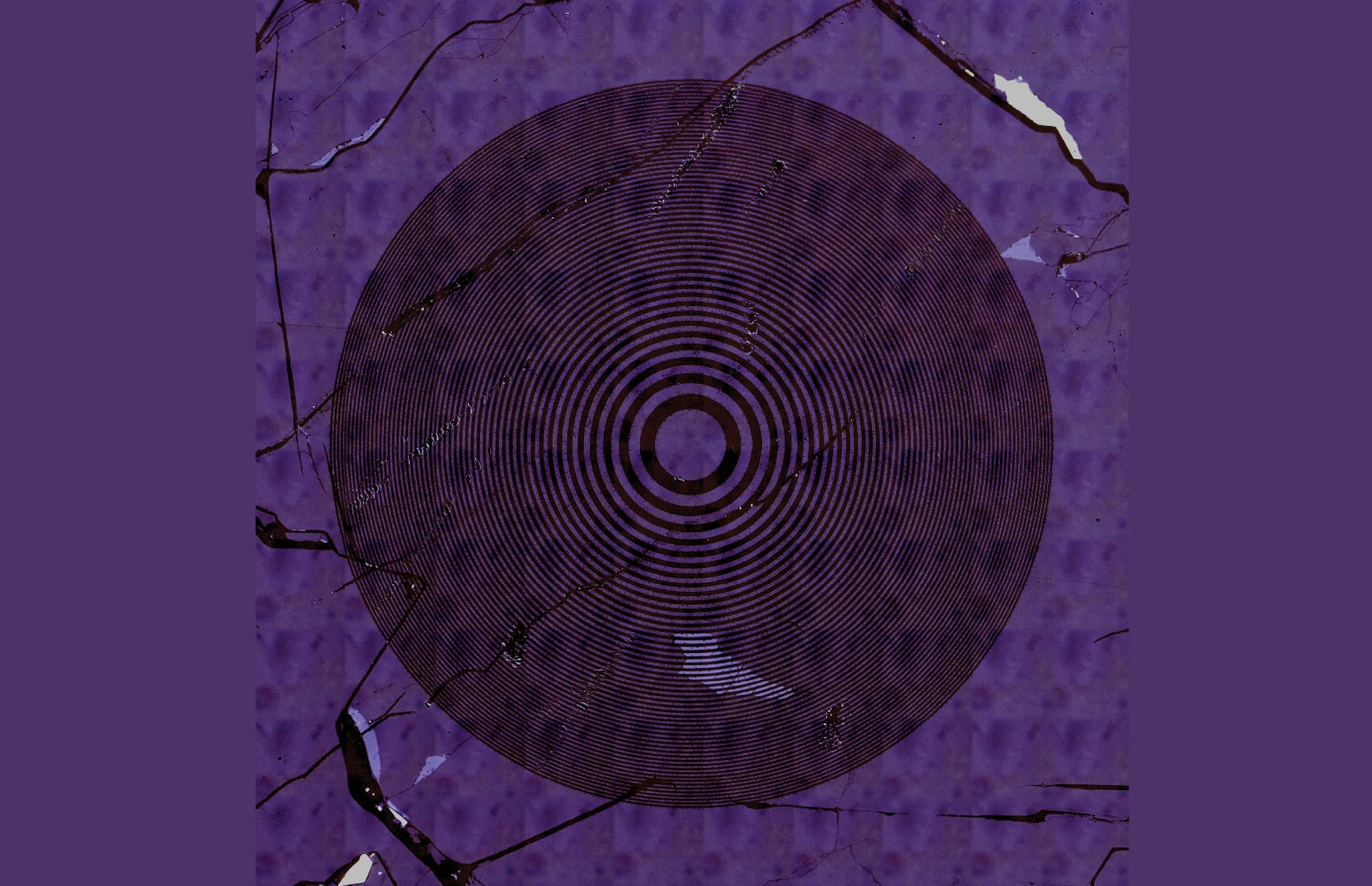 A microscope image of the thinnest lens in the world.