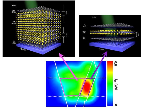Devices with one-layer and seven-layer molybdenum sulfide were built on top of a silicon base and compared. The device with one layer (inside the violet box) showed better performance in converting light to electric current than the seven-layer device (inside the pink box).