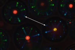 The University of Luxembourg and other multinational groups are using liquid crystal to generate patterns that cannot be cloned in order to reduce counterfeiting. The University of Luxembourg and other multinational groups are using liquid crystal to generate patterns that cannot be cloned in order to reduce counterfeiting.