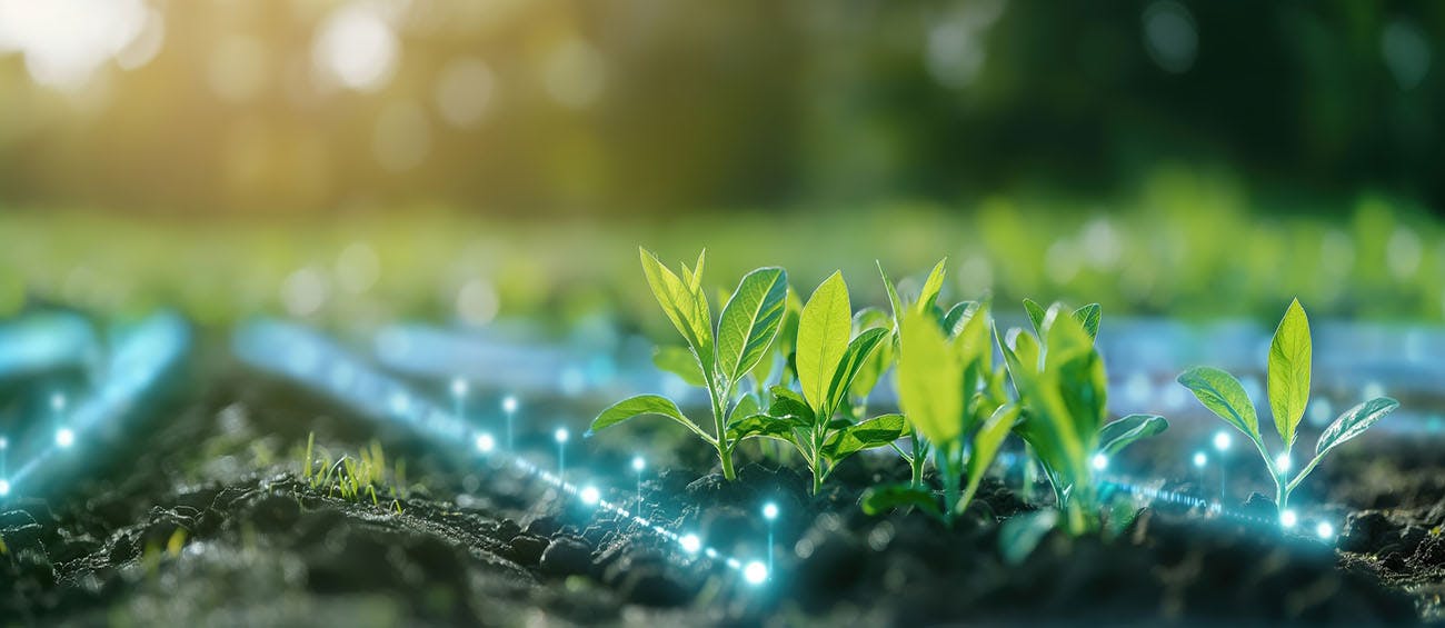 671fa086d643ea08ac389a78 Dreamstime M 327085567