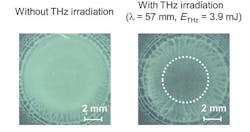 Terahertz laser beams increase the pattern of crystallization in certain polymer materials. Terahertz laser beams increase the pattern of crystallization in certain polymer materials.