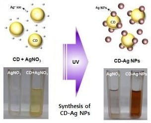 67227cbd25b2e864c6b65c54 Content Dam Lfw Online Articles 2013 07 Pleds