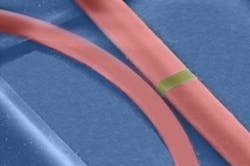 67228350cf99677c6e75764e Content Dam Lfw Online Articles 2015 September Chi 67228350cf99677c6e75764e Content Dam Lfw Online Articles 2015 September Chi