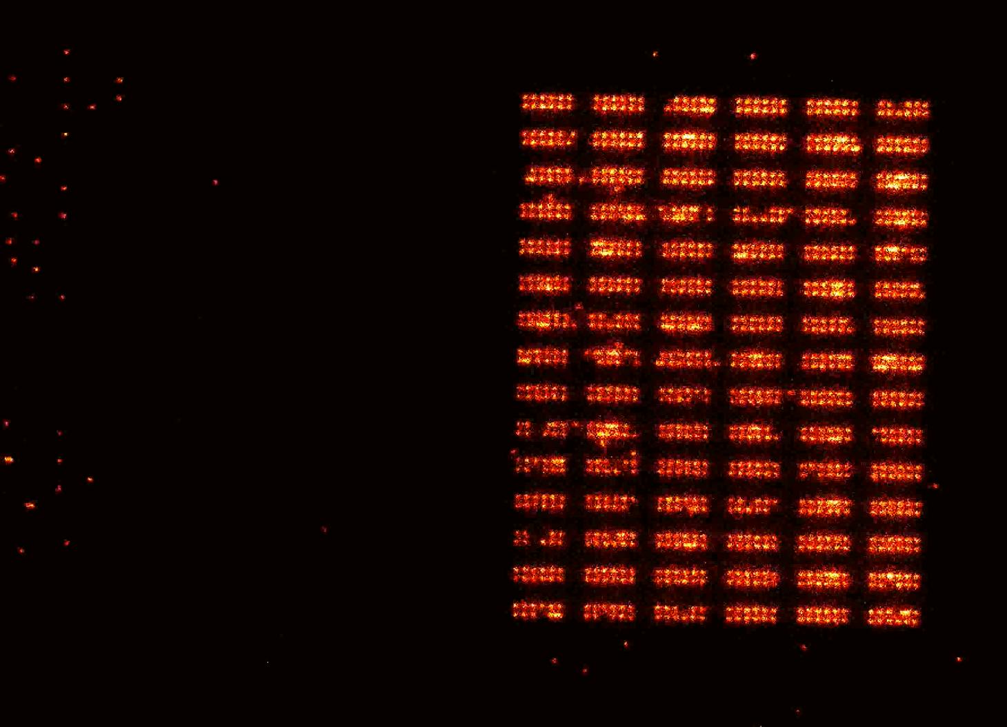 A neutral atom qubit register, which continuously reloads new atoms into the register.