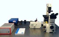 Laser Scanning Microscopes Laser Scanning Microscopes