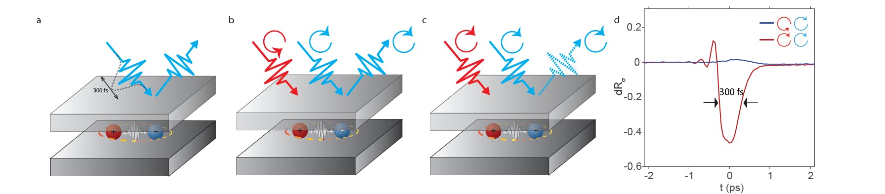 Schematics of how a helical optical switch works: optical circular-polarization dependence of the switch (a-c) and ultrafast switch ability (d).