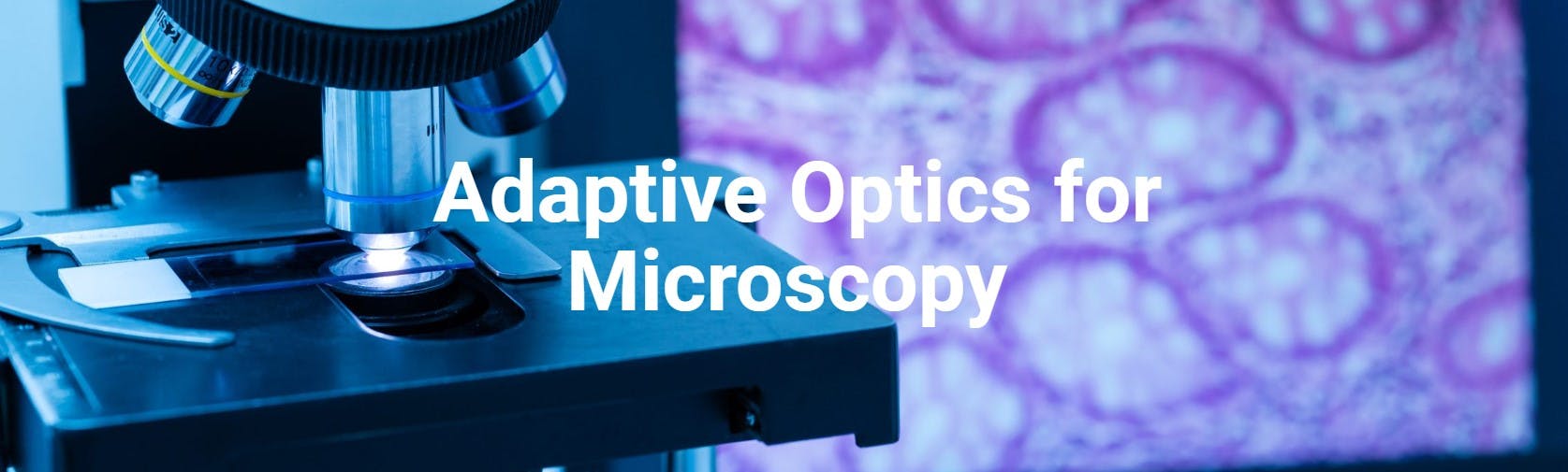 Adaptive Optics for Microscopy