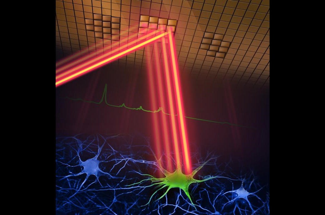Depiction of the adaptive sampling scheme, in which a laser beam patterned by a digital micromirror device selectively illuminates neurons and their activity in brain tissue.