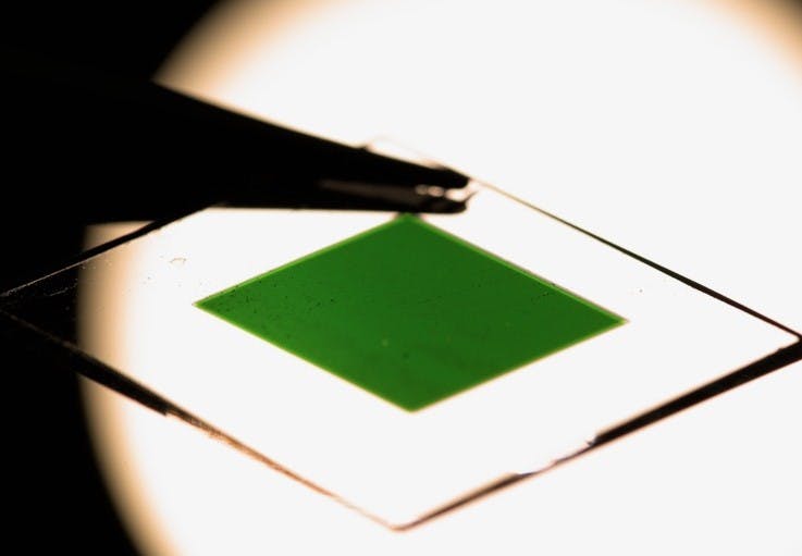 677bf4203374917362b1d543 2502lfw Sal 1 Web