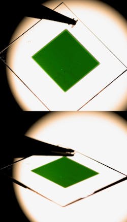 Polariton filters show exceptional angular stability. Polariton filters show exceptional angular stability.