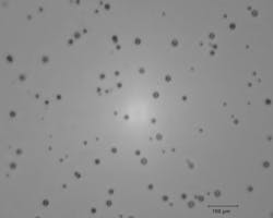 FIGURE 3. Microscope image of ion track in etched CR39 nuclear track detector; smaller spots represent protons and larger spots alpha particles tracks. FIGURE 3. Microscope image of ion track in etched CR39 nuclear track detector; smaller spots represent protons and larger spots alpha particles tracks.