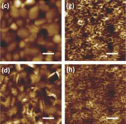 Height (c) and photothermal induced resonance (d) images show a sample area before annealing, and the same sample area after annealing for 60 min (g,h). Scale bars are 1 μm. Data that the group gathered suggest that during curing, metal ion clusters are left on the OTP film surface. These ion clusters could act as charge traps, enabling the material's increased sensitivity.