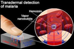 67abbee00ffcc4d839f24901 Content Dam Lfw Online Articles 2013 12 Rice Malar 67abbee00ffcc4d839f24901 Content Dam Lfw Online Articles 2013 12 Rice Malar