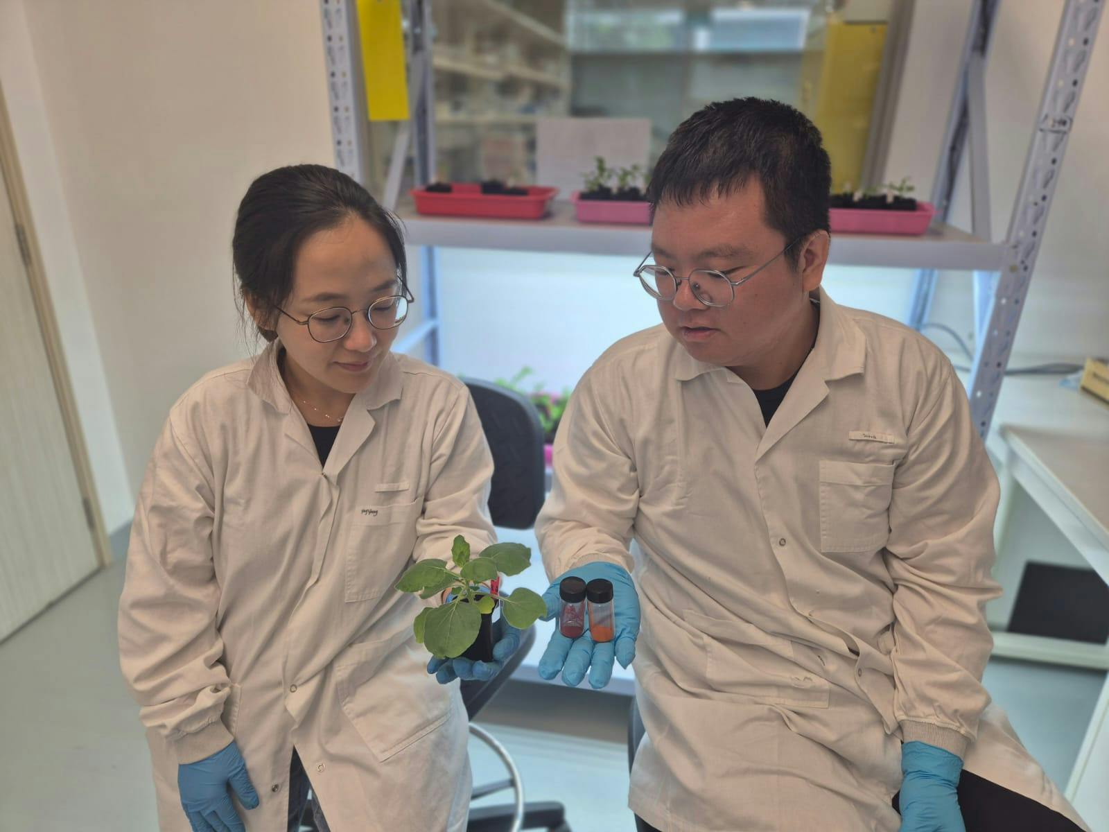 Lead researchers Dr. Song Wang (left), a research scientist at SMART DiSTAP, and Dr. Yangyang Han (right), a senior postdoctoral associate at SMART DiSTAP.