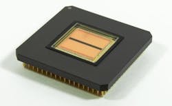 A 60-line sensor checks freshy minted bills for errors in their anticounterfeiting features. A 60-line sensor checks freshy minted bills for errors in their anticounterfeiting features.