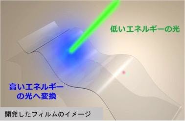 67eaf02f62aac40ec519a20f Content Dam Lfw Online Articles 2019 03 Wintec Upc