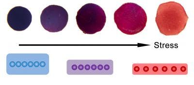 Actual images (top) and a schematic illustration (bottom) show the color change of a plasmonic film after experiencing different amounts of pressure.