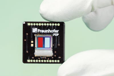 67f001d6f408882aee0f4eab Content Dam Lfw Online Articles 2019 01 Phosphores